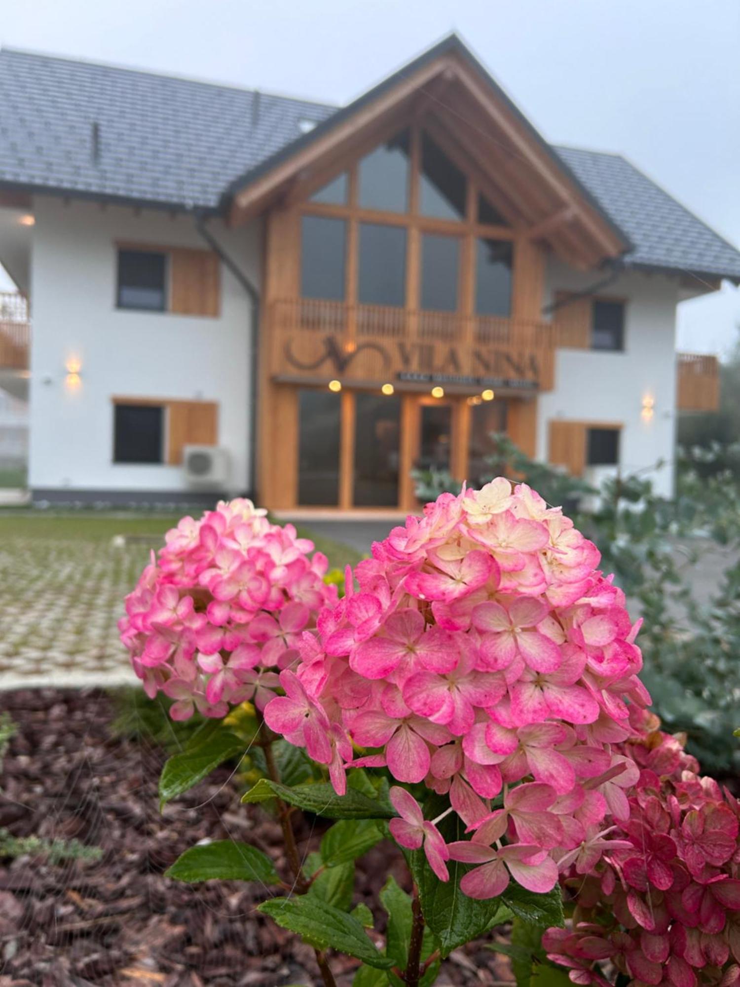 Vila Nina Bohinj Luaran gambar